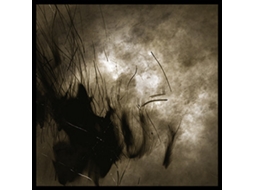 CD Weird Fate - Cycle Of Naught