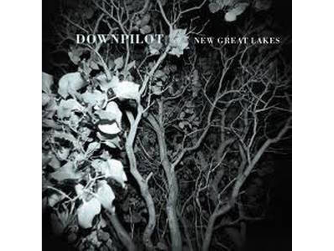 Vinil Downpilot - New Great Lakes (1CDs)