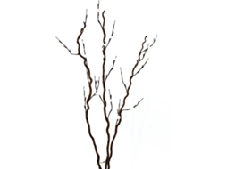 Planta Artificial EUROPALMS Corkscrew Branch (Branco - 120 cm)