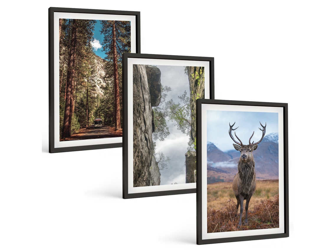 Galeria De Pinturas Murais Estrada, Floresta, Montanhas, Veado, Natureza Moldura Preta Fotos Para O Escritório Espelharte (3 Piezas De 40x60 Cm)