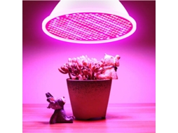 Lâmpada Led Para Plantas De Interior Com Espectro Vermelho E Azul, Lâmpada Led E14 Para Hidroponia, Ideal Para Suculentas. Aquaforge