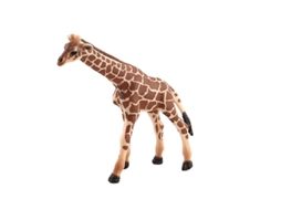 1Pcs Modelo de Figura de Girafa ALLINLESS