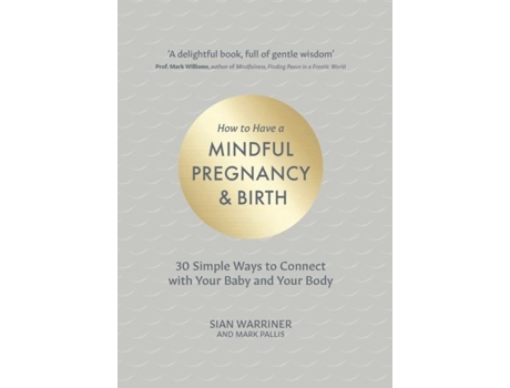 Livro How to Have a Mindful Pregnancy and Birth de Mark Pallis (Inglês)