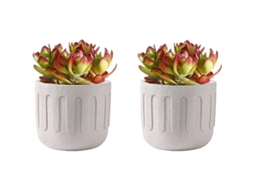 Maceta De Cerámica Para Interior Con Textura Mate 11x13cm Blanca Para Suculentas Sala Oficina