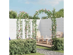 Arco De Jardim 2 Peças Para Trepadeiras