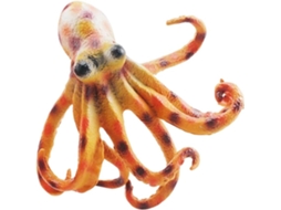 Miniaturas De Animais Marinhos Para O Banho, Modelos De Cognição, Educação Científica Infantil, Estilo