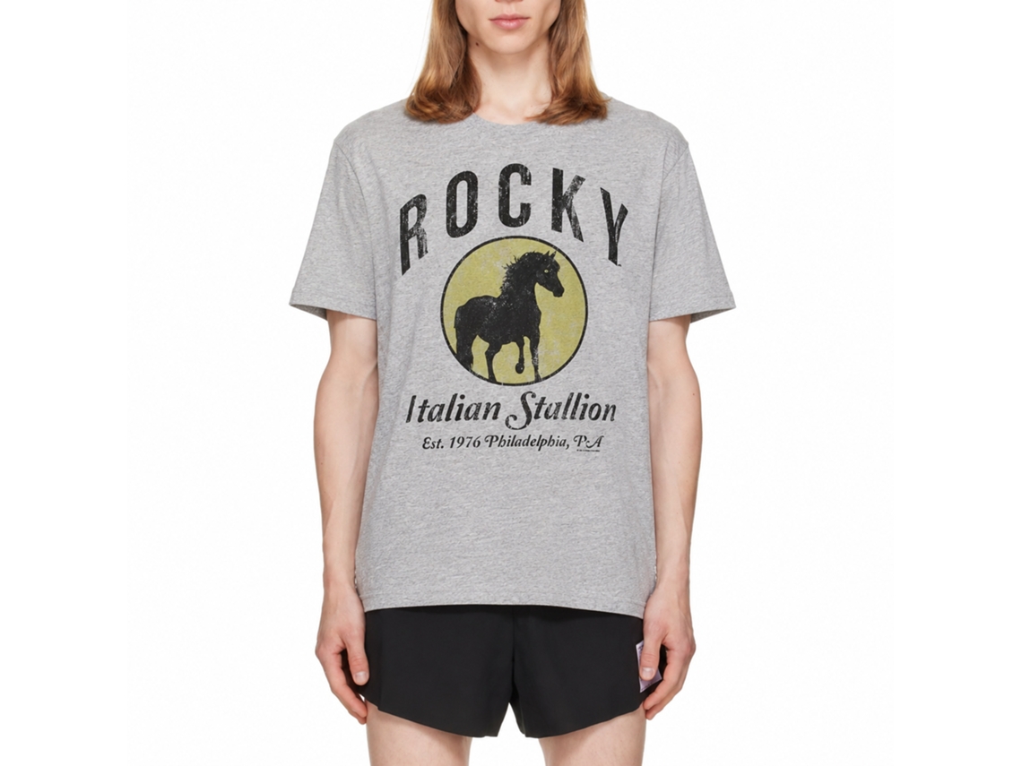 Rockinstone Rocky Movie Established 1967 Heather Gray Adult T-shirt Size:xxl