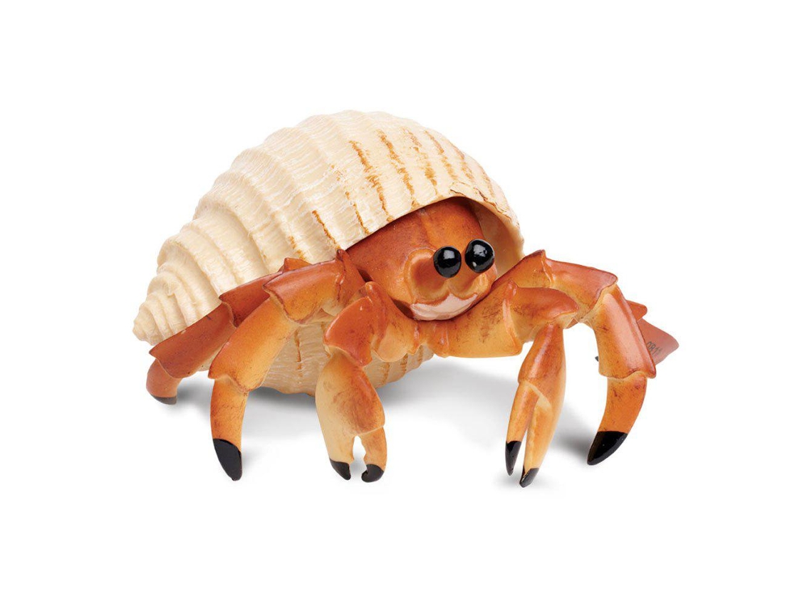 SAFARI Hermit Crab