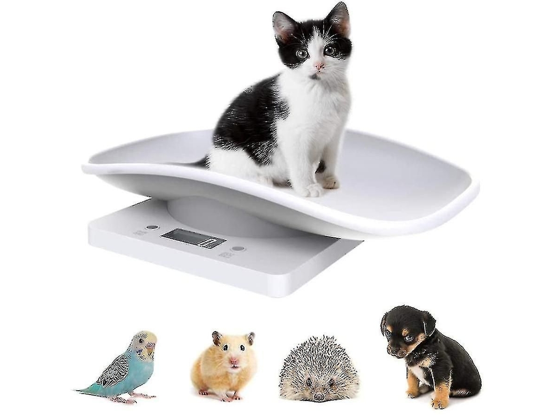 Lurelia Balança De Cozinha, 10 Kg, Lcd