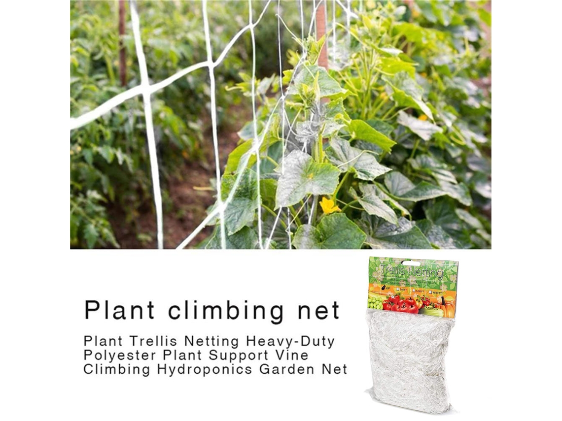 Kit 50 Cestos de Plástico para Cultivo AQUAFORGE