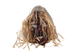Laxiscreed Gancho Decorativo Para Portas De Halloween E Natal Com Abóbora E Enfeites Criativos