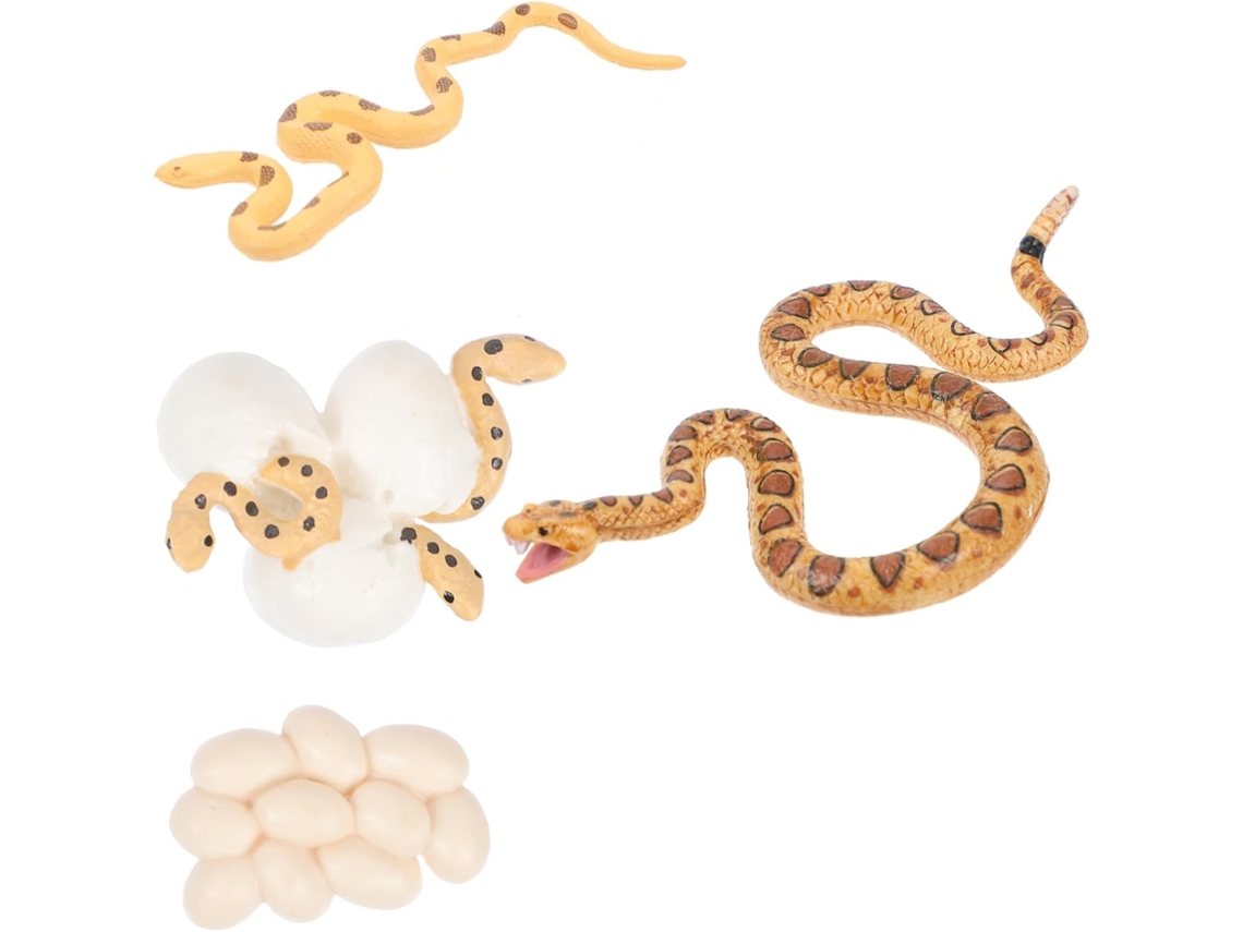 Conjunto De 1 Figura De Ciclo De Vida Da Serpente Cracadol - Brinquedo Infantil