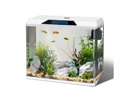 Aquário De 54l Completo, Tanques De Vidro Com Sistema De Filtragem E Iluminação Led, Aquários Para Iniciantes, Nobleza Branco
