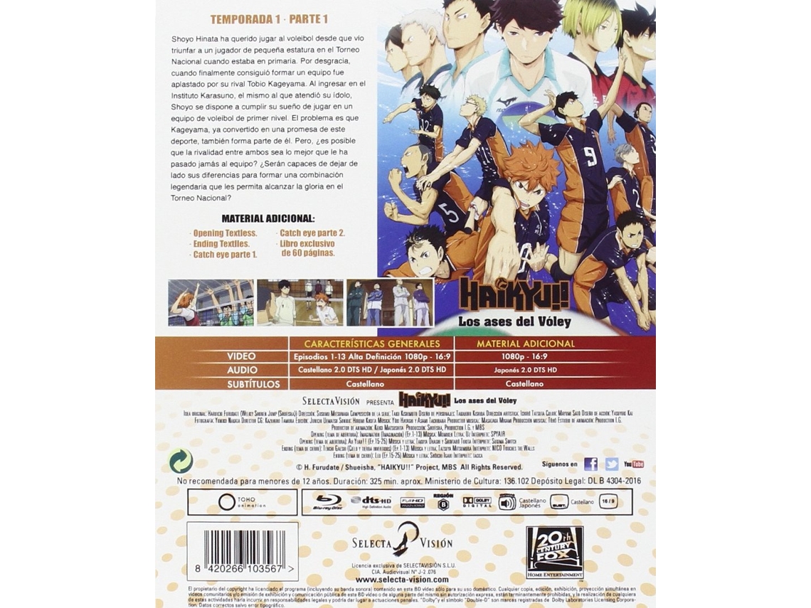 Assistir Haikyuu 2 Todos os episódios online.