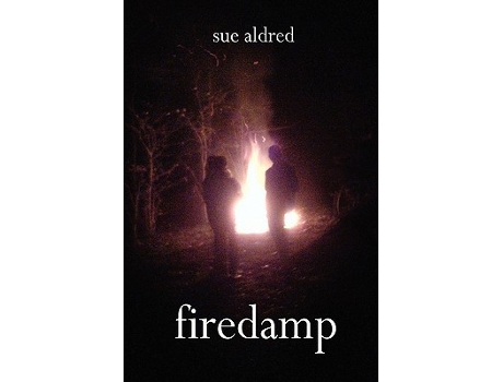 Livro FIREDAMP de SUE ALDRED (Inglês)