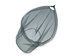 Lineaeffe Oval Head