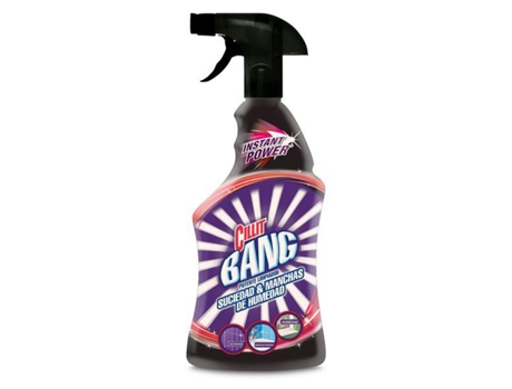 Detergente Anti-Sujidade e Manchas de Humidade com Pulverizador  750 ml - x1