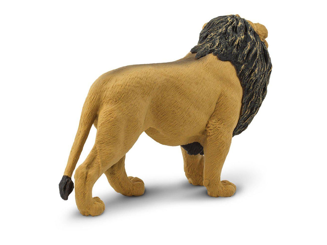 SAFARI Lion