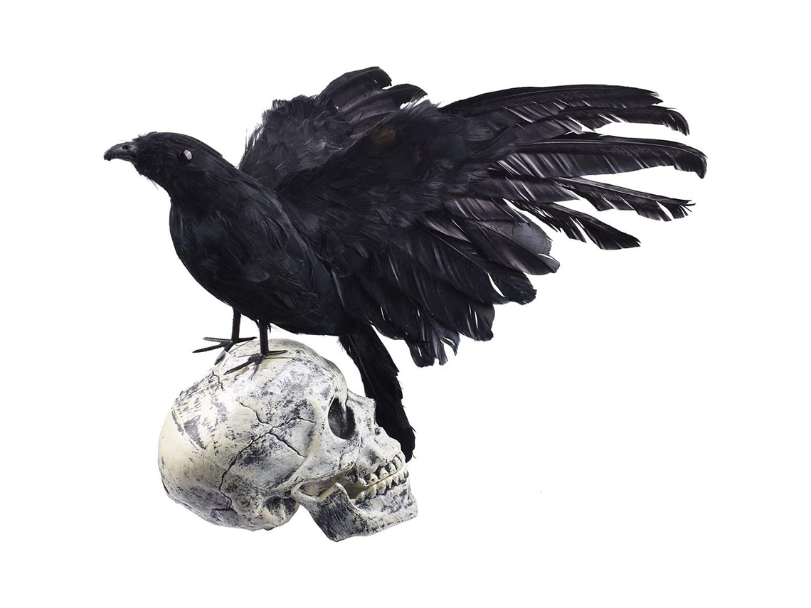 Laxiscreed Witch Hand Esqueleto De Mão Para Decoração De Festas Temáticas E Celebrações