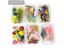 Pacote de materiais com flores secas para DIY, caixa aleatória de 30g LAXISCREED