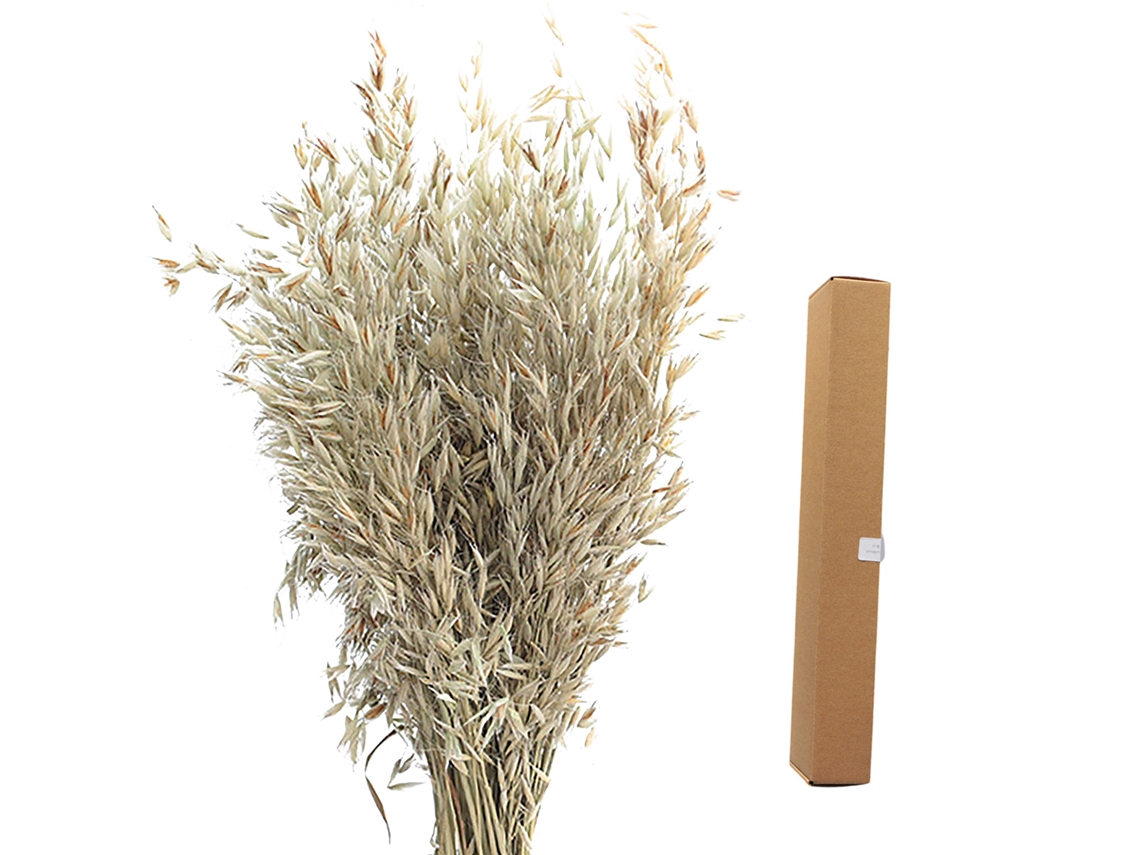 Aveia Integral Original, Pacote de 45cm em Caixa 45x5x7cm LAXISCREED
