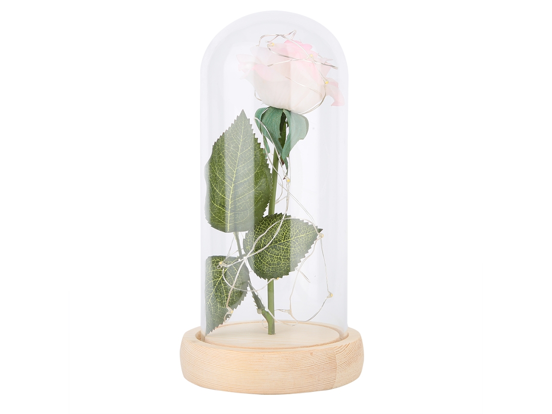 Flor Preservada Led com Base de Vidro Presente Dia Namorados