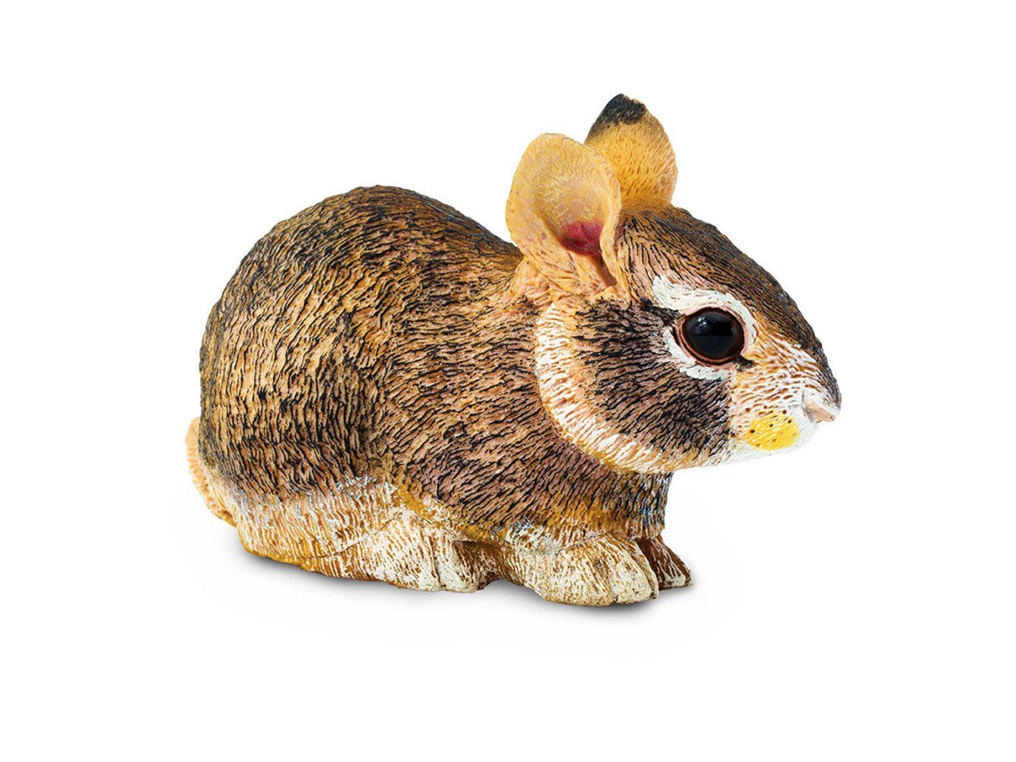 SAFARI Eastern Cottontail Rabbit Baby
