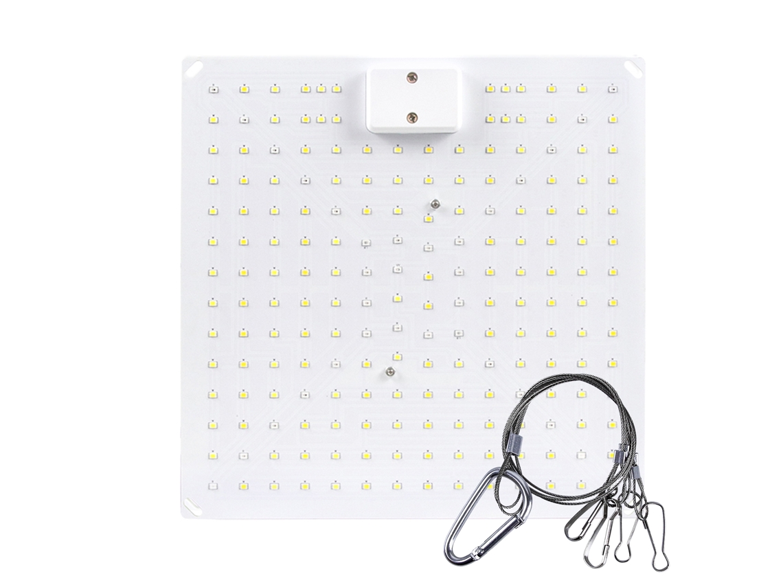 Luz de crescimento LED planta suculenta 50W espectro completo placa quântica interior | S/MARCA