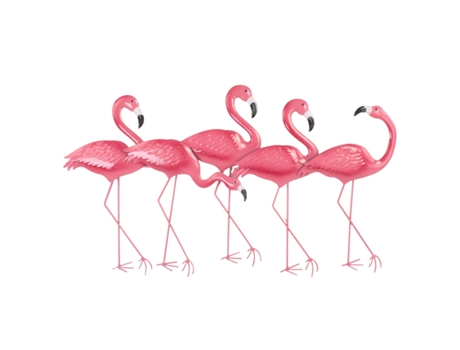 Decoração de Parede Flamingos BY SIGRIS
