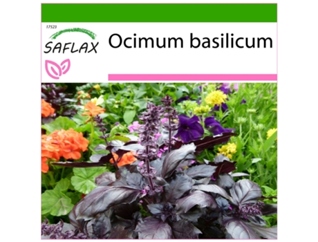 SAFLAX Manjericão Vermelho Ocimum Basilicum 200 Sementes com Substrato de Cultivo Livre de Germes
