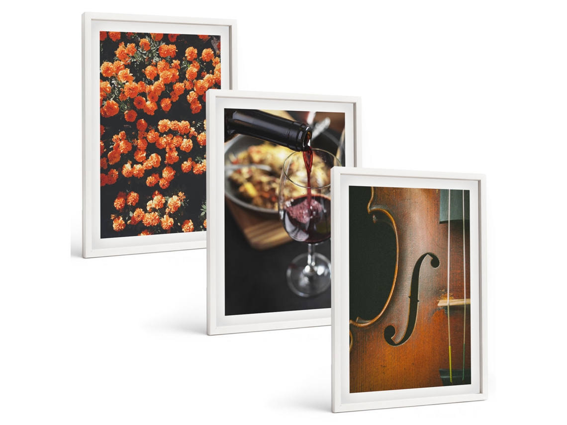 Conjunto De Pinturas Flores Vintage, Vinho, Violino Espelharte (3 Peças 40x60 Cm)
