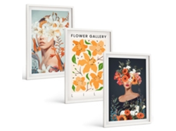 Galeria De Pinturas Murais Retratos Florais Com Buquês Moldura Branca Quadros Para A Sala De Estar Espelharte (3 Piezas De 40x60 Cm)