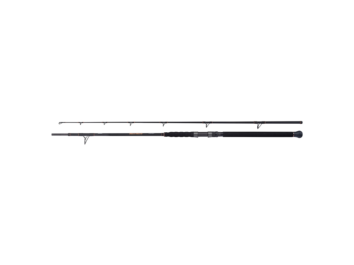 Cana de Fiar SHIMANO Beastmaster Catfish Multi 200G 2,30 m