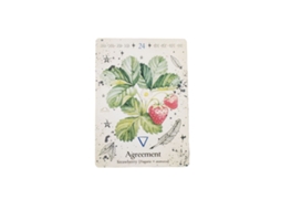 Novo Jogo de Cartas Oráculo da Bruxa Verde e do Oráculo Das Plantas Verdes Popular MDUG