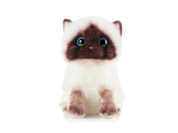 Brinquedo De Pelúcia Gato Marrom Branco Olhos Sequin Simulação Decor Casa Presente Aniversário Natal