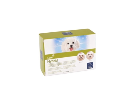 Suplemento Alimentar Hybrid CAMON (60X1300Mg)