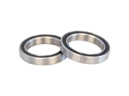Gurpil Stainless Bearing