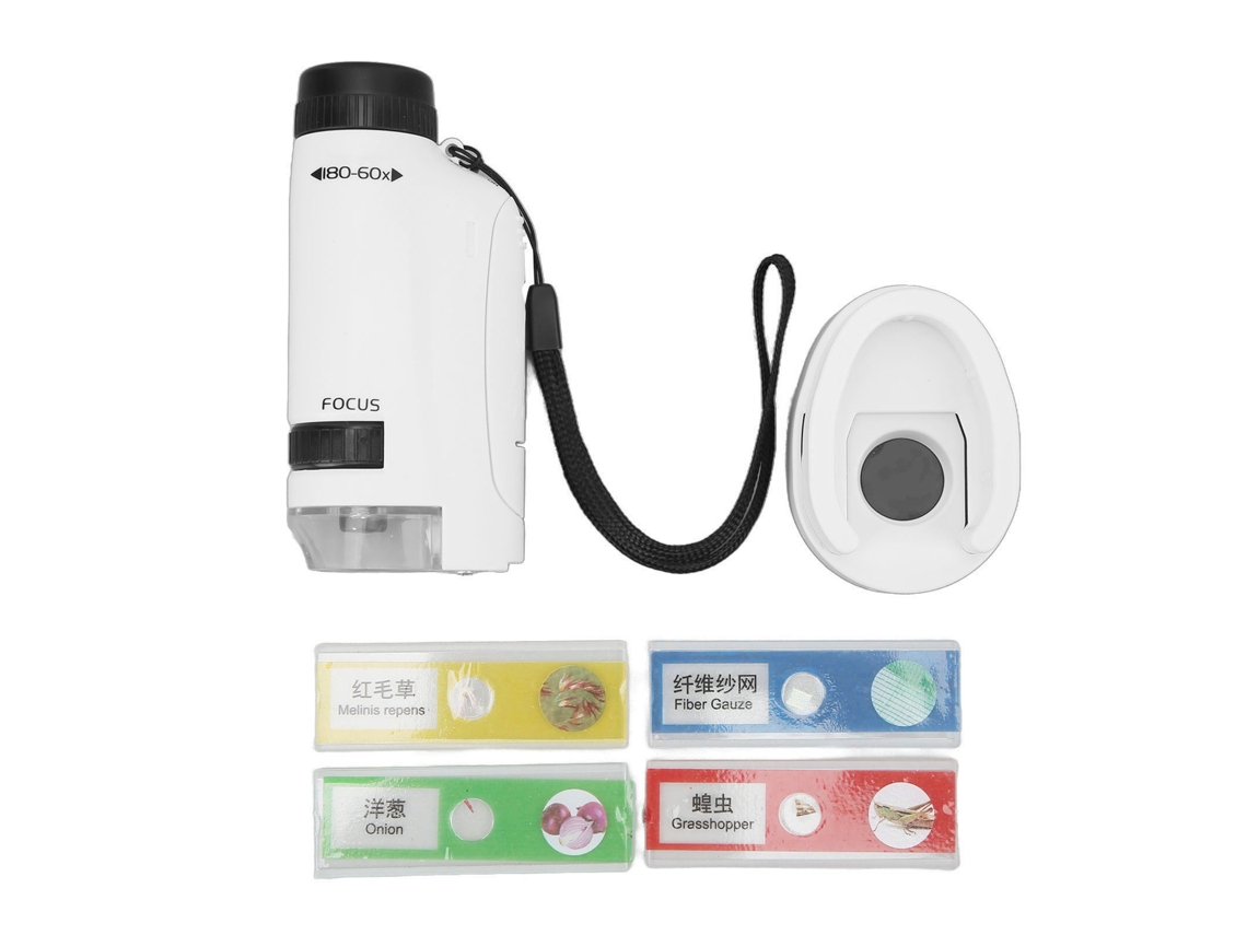 Mini Microscópio Portátil de 60x a 120x com Luz Led BRILVIBERA
