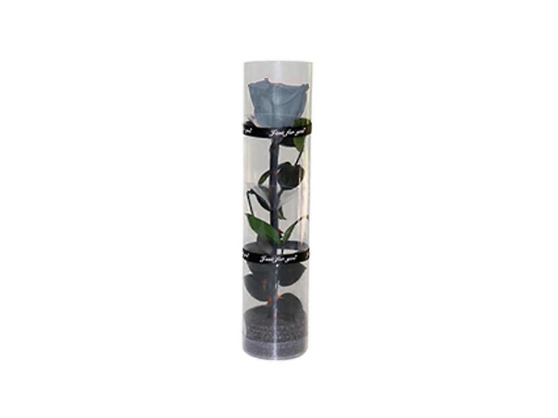 Rosa Preservada Real Com Caule E Folhas, 27 Cm, Diâmetro 4,5 Cm, Embalagem Transparente Para Presente Cinza Fumê