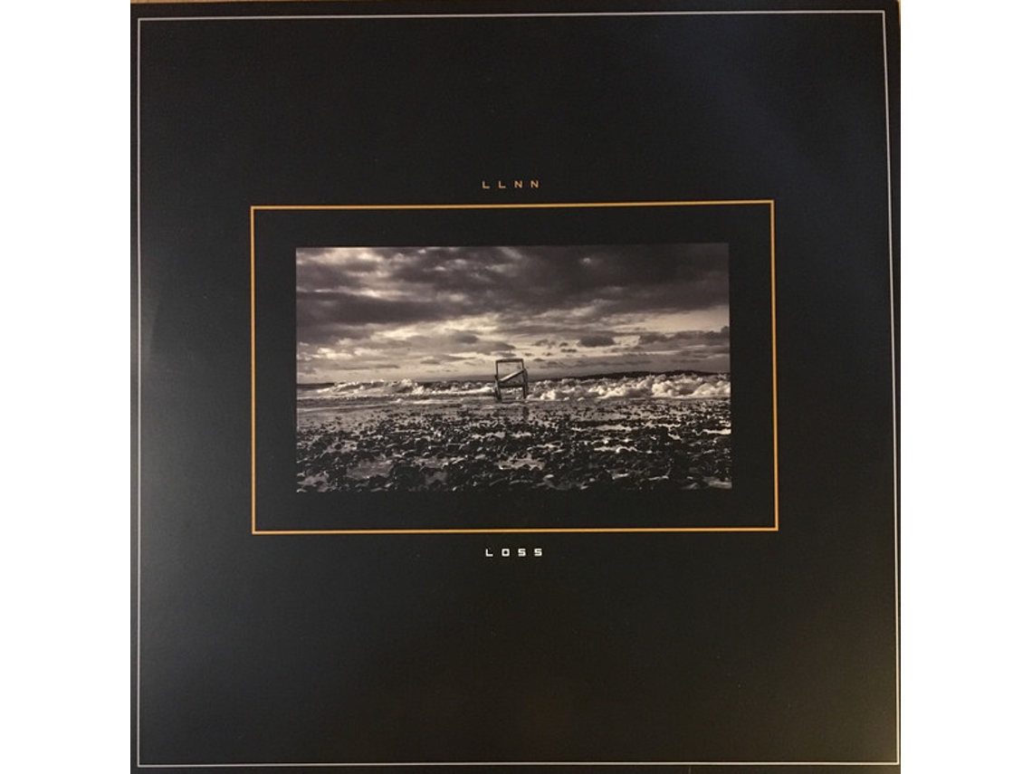 Vinil LLNN - Loss