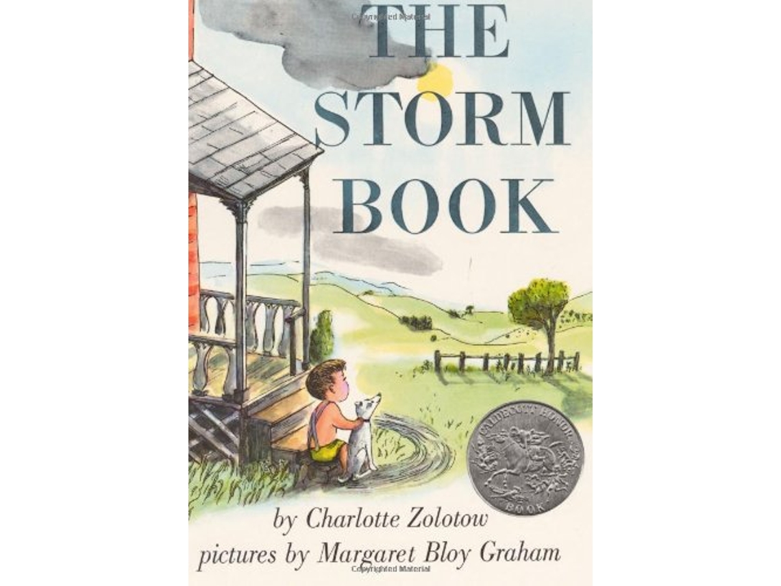 Livro Storm Book de Charlotte Zolotow (Inglês)