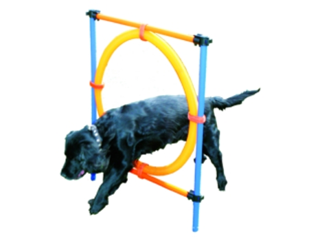 Acessórios Para Treino Para Cães  Anel Da Agilidade (Tam: Médio )
