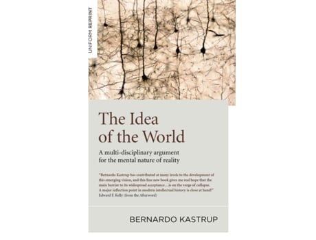 Livro idea of the world, the - a multi-disciplinary argument for the mental nature of reality de bernardo kastrup (inglês)
