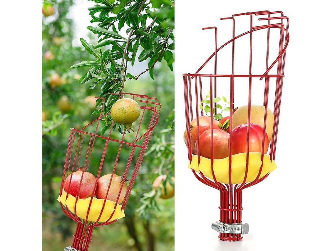 2026 ferramenta de Colheita de Frutas com Cesta Giratória Compatível com Maçãs Zyg Rojo
