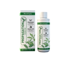 Sérum Roll on Refrescante Calmante Pele LAXISCREED