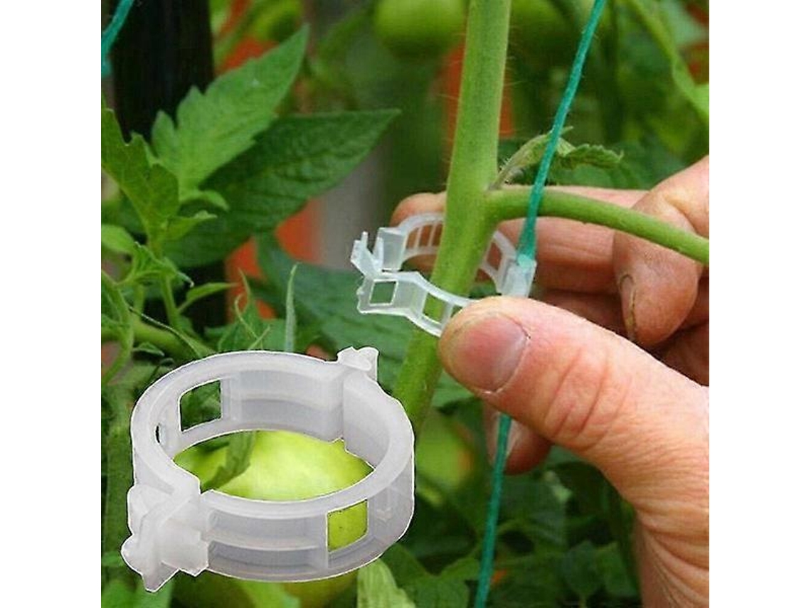Suportes de Plástico para Plantas Jardim, Tomates AQUAFORGE