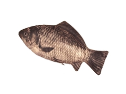 2026 bolsa de Canetas em Forma de Peixe, Estojo Divertido, Capa com Fecho para Lápis e Maquiagem