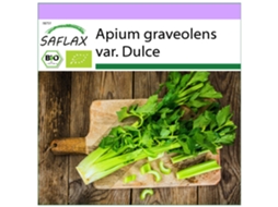 SAFLAX Orgânico Aipo Alto Utah Apium Graveolens Var. Dulce 500 Sementes