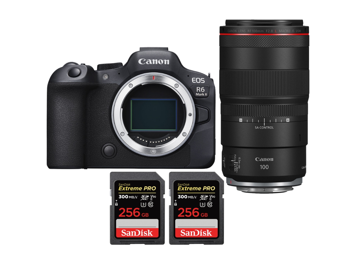 Eos R6 Mark Ii + Rf 100mm F/2.8 L Macro Is Usm + 2 Sandisk 256gb Uhs ii 300mb/s Máquina Fotográfica Híbrida + Ebook Pricedirect CANON