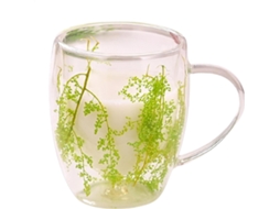 Caneca De Vidro De Parede Dupla, 350 Ml, Transparente Com Flores Secas.